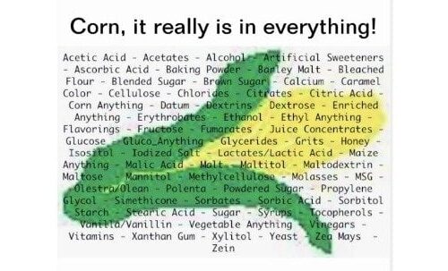 ~Creative cooking without the corn PART 1